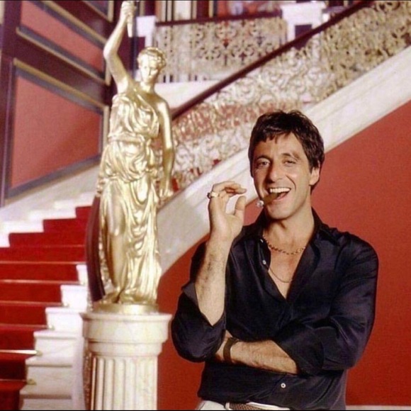 Meet your Posher, Diego - Picture 1 of 1